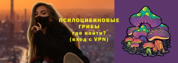 spice Арсеньев
