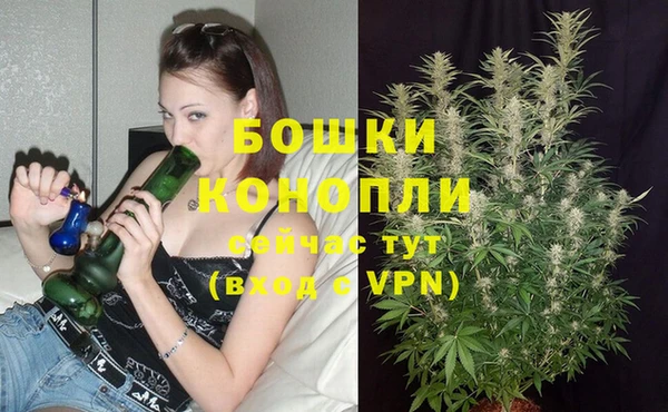 spice Арсеньев
